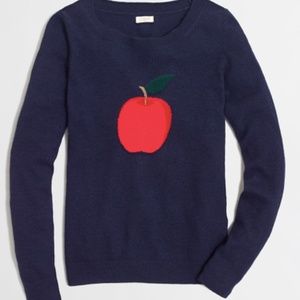 J crew factory navy apple sweater NWT (M)